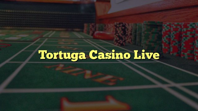 Un aperçu de tortuga casino en ligne